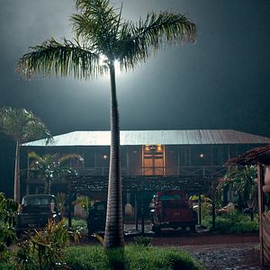 Bilder Palmen im Schnee - Eine grenzenlose Liebe