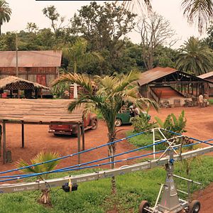 Bilder Palmen im Schnee - Eine grenzenlose Liebe