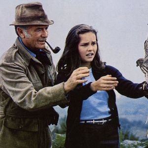 Bilder Run Wild, Run Free