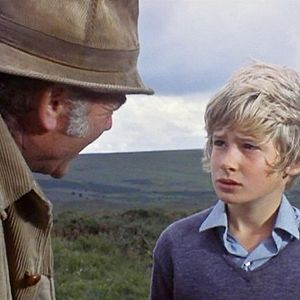 Bilder Run Wild, Run Free