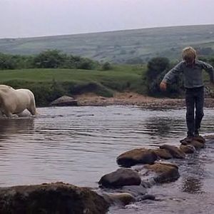 Bilder Run Wild, Run Free