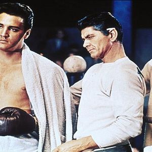 Bilder Kid Galahad - Harte Fäuste, heiße Liebe