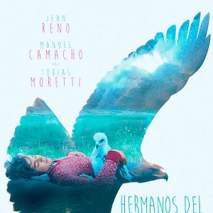 Bilder Wie Brüder im Wind