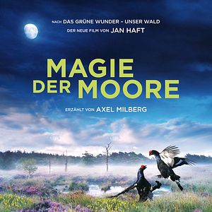 Bilder Magie der Moore