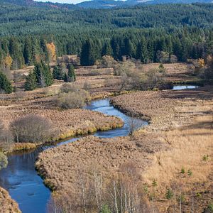 Bilder Magie der Moore