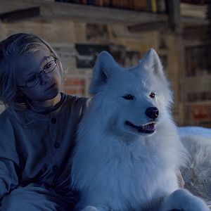 Bilder Operation Arktis