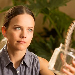 Bilder Allison Miller