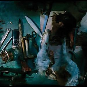 Bilder Der Düsseldorf-Ripper