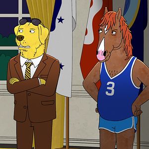 Bilder BoJack Horseman