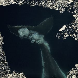 Bilder Zwischen Himmel und Eis