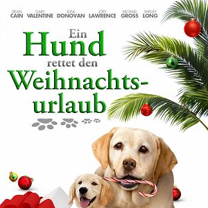 Bilder Ein Hund rettet den Weihnachtsurlaub