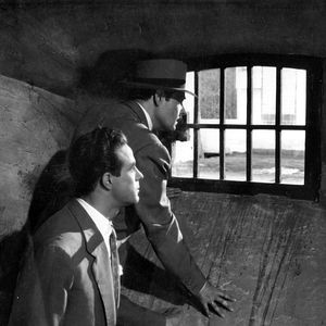 Bilder Los ladrones somos gente honrada