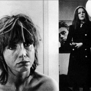 Bilder Der Salamander