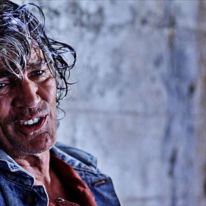 Bilder Cowboys Vs. Dinosaurs