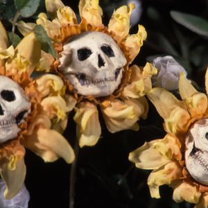 Bilder Blood Tea and Red String