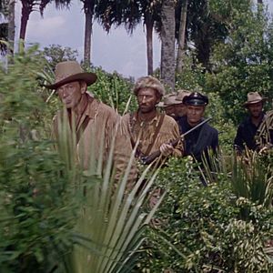 Bilder Die Teufelsbrigade