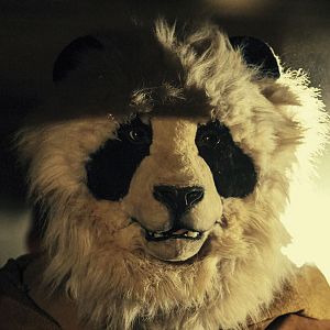 Bilder Wastelander Panda: Exile