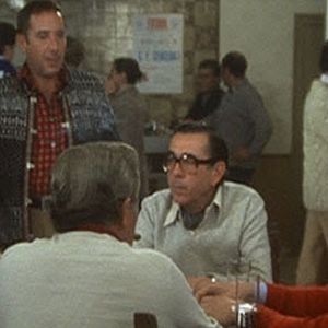 Bilder The Green Pastures