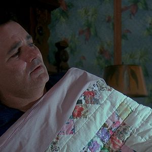 Bilder Und täglich grüßt das Murmeltier