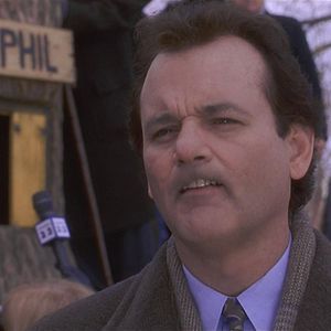 Bilder Und täglich grüßt das Murmeltier