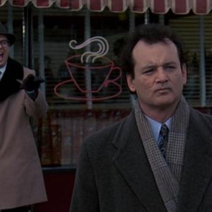 Bilder Und täglich grüßt das Murmeltier