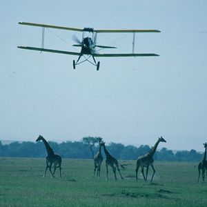 Bilder Jenseits von Afrika