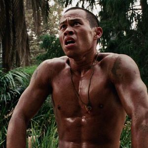 Bilder Welcome To The Jungle