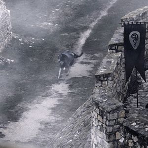 Bilder Sword Of Vengeance