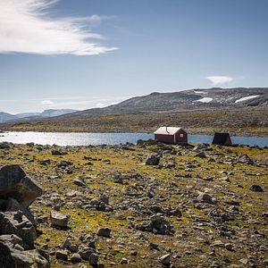 Bilder Kleine Ziege, sturer Bock