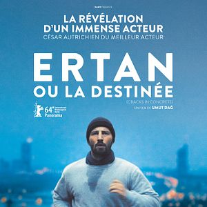 Bilder Risse im Beton