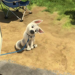 Bilder Bolt - Ein Hund für alle Fälle