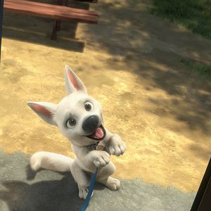 Bilder Bolt - Ein Hund für alle Fälle