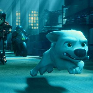 Bilder Bolt - Ein Hund für alle Fälle