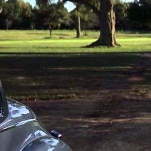 Bilder Wie ein einziger Tag