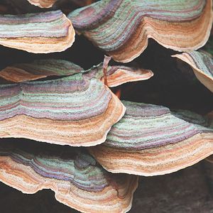 Bilder 100 días de soledad