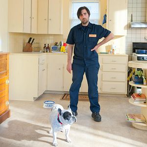 Bilder Jason Schwartzman