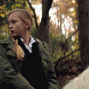 Bilder Die Legende der weißen Pferde