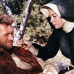 Bilder Ein Fressen für die Geier