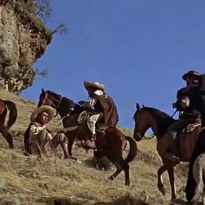 Bilder Ein Fressen für die Geier