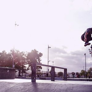 Bilder The Search for Freedom