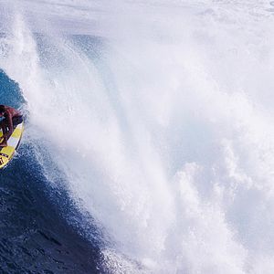 Bilder The Search for Freedom