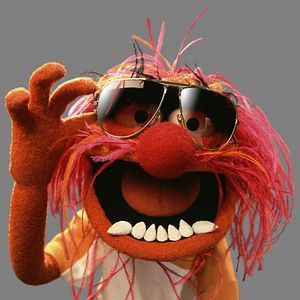 Bilder The Muppets