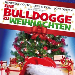 Bilder Eine Bulldogge zu Weihnachten