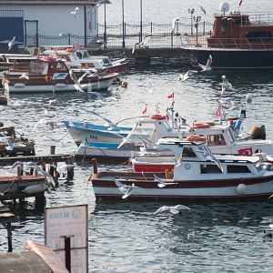 Bilder Evlenmeden Olmaz