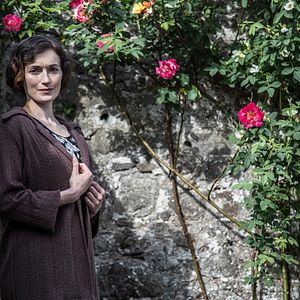 Bilder Wenn die Nachtigall fällt