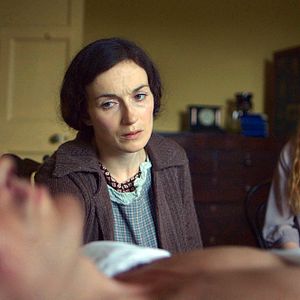 Bilder Wenn die Nachtigall fällt