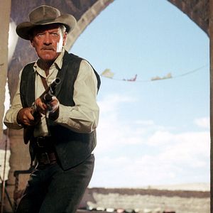 Bilder The Wild Bunch