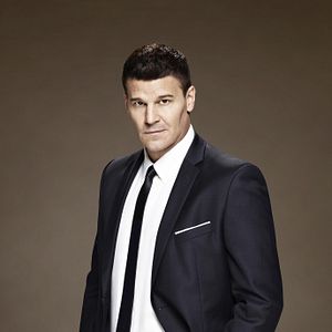 Bilder David Boreanaz