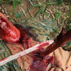 Bilder As Fábulas Negras