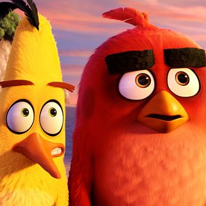 Bilder Angry Birds - Der Film